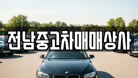 전북 전주시 덕진구 우아동1가 중고차 전문 전남중고차매매상사