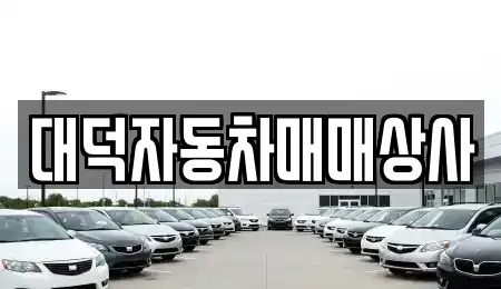 전북 전주시 덕진구 호성동2가 중고차매매 전문 대덕자동차매매상사