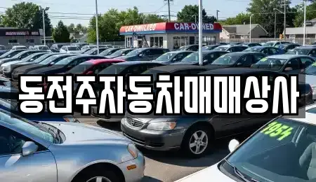 전북 전주시 덕진구 호성동2가 중고차매매 전문 동전주자동차매매상사