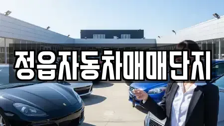 전북 정읍시 공평동 중고차매매 전문 정읍자동차매매단지