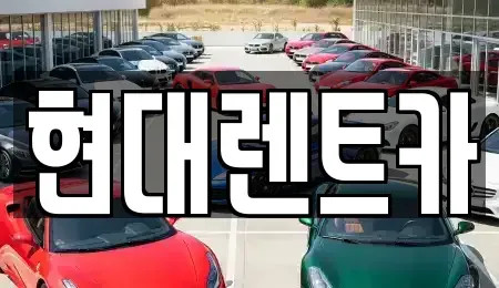 전북특별자치도 군산시 죽성동 렌트카 전문 현대렌트카