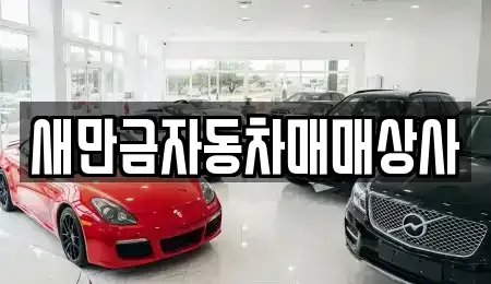 전북특별자치도 군산시 죽성동 중고차 전문 새만금자동차매매상사