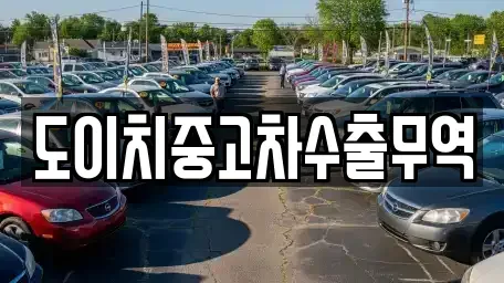 전북특별자치도 김제시 월봉동 중고차 전문 도이치중고차수출무역