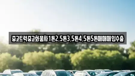 전북특별자치도 김제시 월봉동 중고차 전문 중고트럭중고화물차1톤2.5톤3.5톤4.5톤5톤매매매입수출