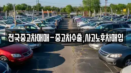 전북특별자치도 익산시 용제동 중고차 전문 전국중고차매매-중고차수출,사고노후차매입