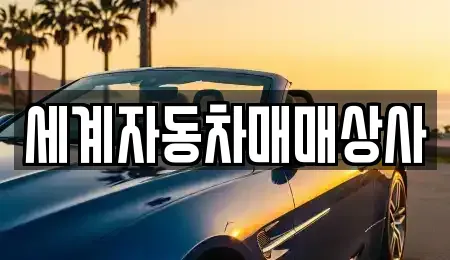 전북특별자치도 전주시 완산구 삼천동3가 중고차 전문 세계자동차매매상사