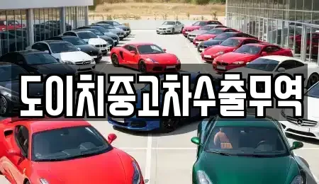 전북특별자치도 전주시 완산구 중앙동4가 중고차매매 전문 도이치중고차수출무역