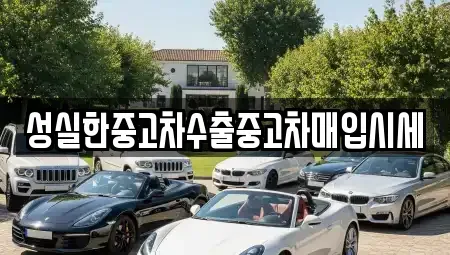 전북특별자치도 전주시 완산구 중앙동4가 중고차매매 전문 성실한중고차수출중고차매입시세