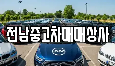 전북특별자치도 전주시 완산구 중앙동4가 중고차매매 전문 전남중고차매매상사