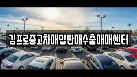 전북특별자치도 전주시 완산구 중앙동4가 중고차매입 전문 김프로중고차매입판매수출매매센터