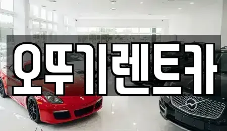 전북특별자치도 정읍시 시기동 단기렌트카 전문 오뚜기렌트카