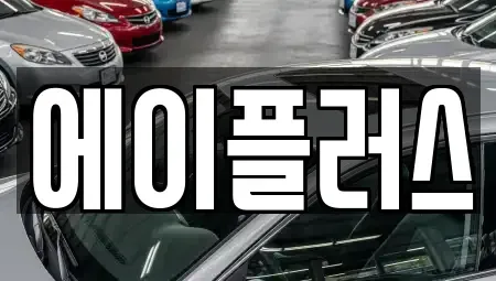 전북특별자치도 정읍시 시기동 렌트카 전문 에이플러스