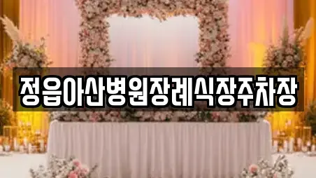 정읍아산병원장례식장주차장