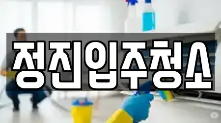 정진입주청소