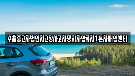 제주 서귀포시 안덕면 중고차 전문 수출중고차법인차고장사고차망자차압류차1톤차매입센터