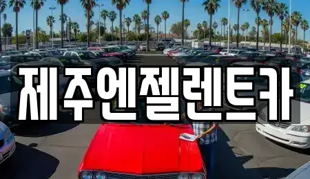 제주 제주시 렌트카 전문 제주엔젤렌트카
