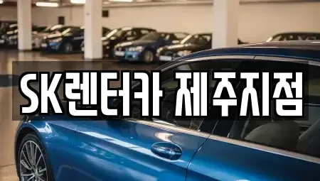 제주 제주시 용담이동 단기렌트카,중고차매입,중고차매매,중고차,렌트카,장기렌트카