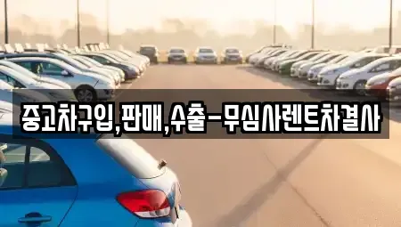 제주 제주시 용담이동 중고차매매 전문 중고차구입,판매,수출-무심사렌트차결사