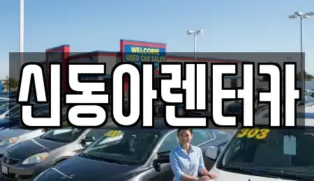 제주 제주시 이호이동 렌트카 전문 신동아렌터카