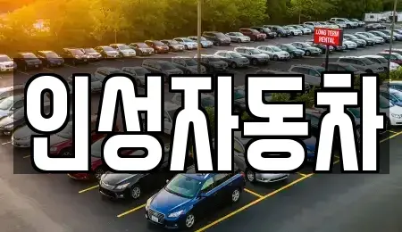 제주 제주시 이호이동 중고차 전문 인성자동차