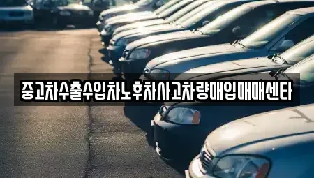 제주 제주시 이호이동 중고차매입 전문 중고차수출수입차노후차사고차량매입매매센타