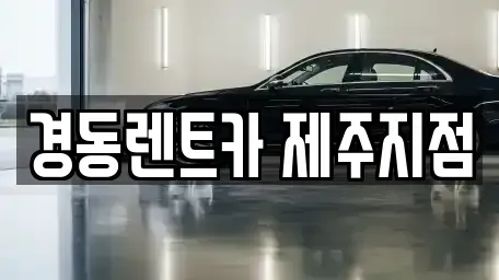 제주 제주시 장기렌트카 전문 경동렌트카 제주지점