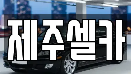 제주 제주시 중고차 전문 제주셀카