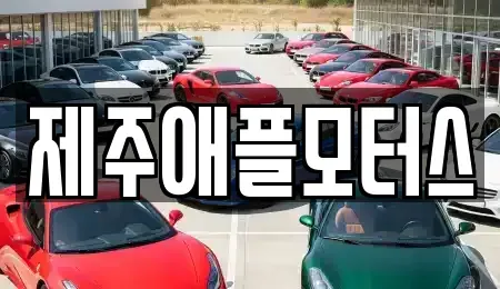 제주 제주시 중고차 전문 제주애플모터스