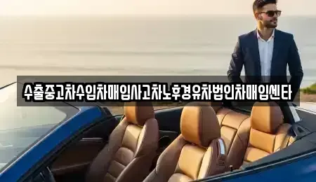 제주특별자치도 서귀포시 보목동 장기렌트카,중고차,렌트카,단기렌트카,중고차매입,중고차매매