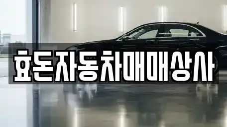 제주특별자치도 서귀포시 보목동 중고차 전문 효돈자동차매매상사