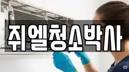 쥐엘청소박사