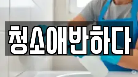 청소애반하다