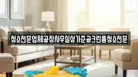 청소전문업체공장사무실상가준공크린룸청소전문