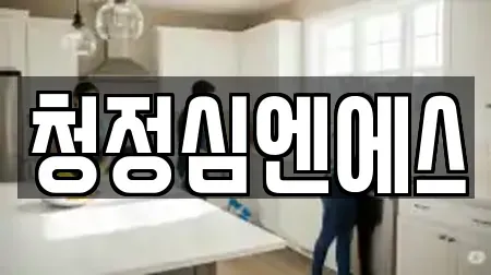 청정심엔에스