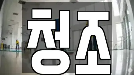 청조