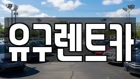 충남 공주시 유구읍 렌트카 전문 유구렌트카
