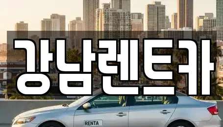 충남 금산군 진산면 렌트카 전문 강남렌트카