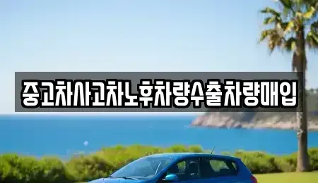 충남 금산군 진산면 중고차매입 전문 중고차사고차노후차량수출차량매입