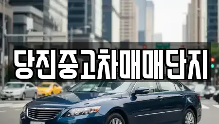 충남 당진시 고대면 중고차매매 전문 당진중고차매매단지