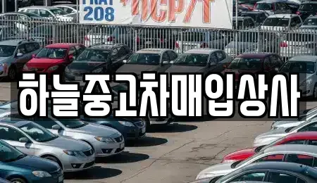 충남 당진시 고대면 중고차매입 전문 하늘중고차매입상사