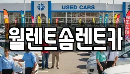 충남 당진시 합덕읍 렌트카 전문 월렌트솜렌트카