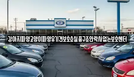 충남 부여군 충화면 중고차 전문 강아지파양고양이파양유기견보호소실종구조안락사없는보호센터
