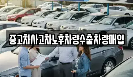 충남 부여군 충화면 중고차 전문 중고차사고차노후차량수출차량매입