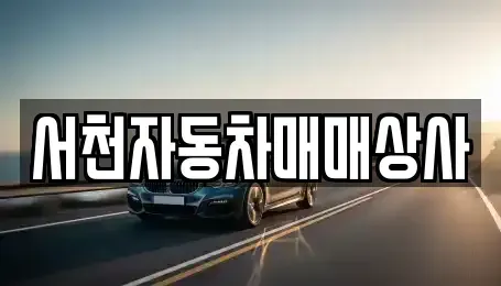 충남 서천군 중고차매매 전문 서천자동차매매상사