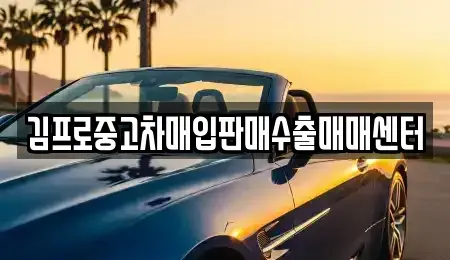 충남 서천군 중고차매입 전문 김프로중고차매입판매수출매매센터