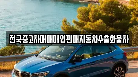 충남 아산시 법곡동 중고차매매 전문 전국중고차매매매입판매자동차수출화물차