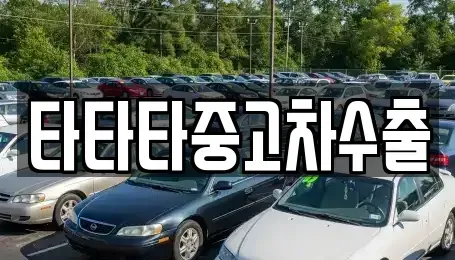 충남 예산군 신양면 중고차 전문 타타타중고차수출