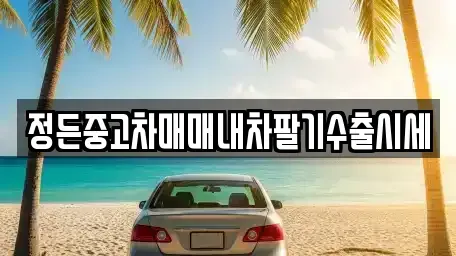 충남 천안시 동남구 동면 중고차매매 전문 정든중고차매매내차팔기수출시세