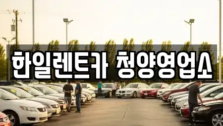 충남 청양군 청양읍 렌트카 전문 한일렌트카 청양영업소