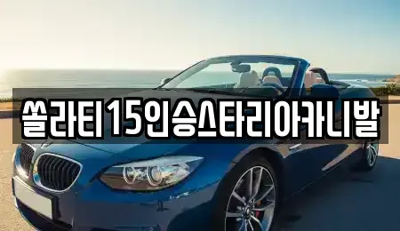 충북 단양군 단성면 렌트카 전문 쏠라티15인승스타리아카니발